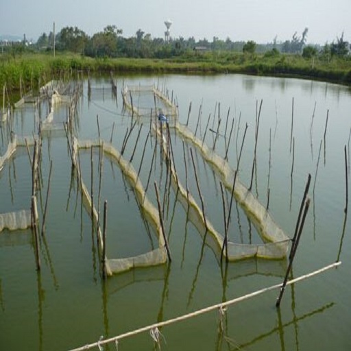 漁業養殖水質檢測